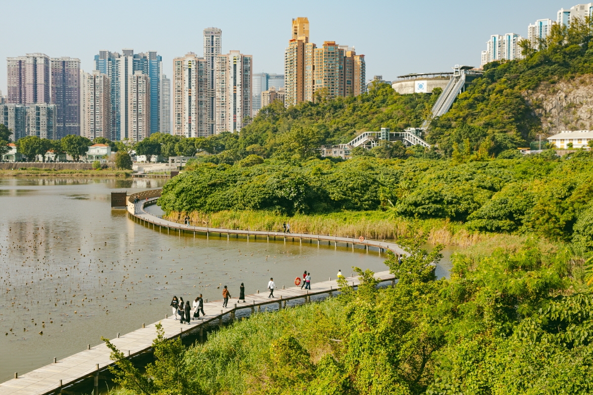 자연의 보고 '타이파 생태공원'